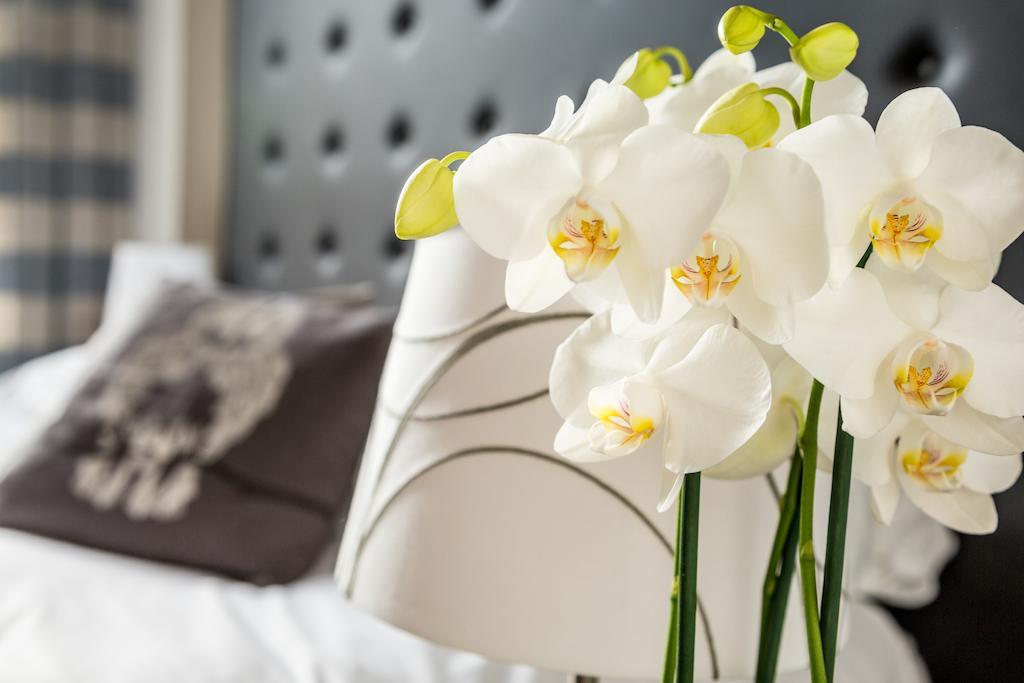 Bed and breakfast Little Rose 5*